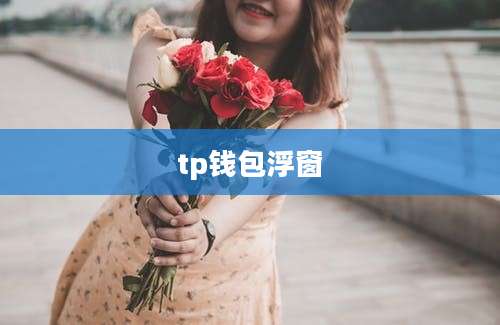 tp钱包浮窗