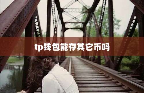 tp钱包能存其它币吗