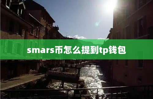 smars币怎么提到tp钱包