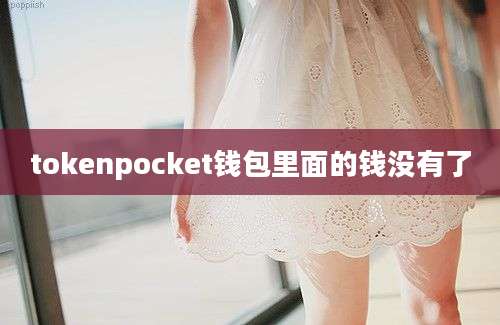 tokenpocket钱包里面的钱没有了