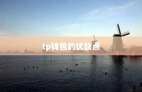 tp钱包的优缺点