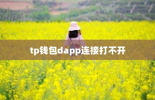 tp钱包dapp连接打不开