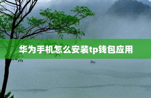 华为手机怎么安装tp钱包应用