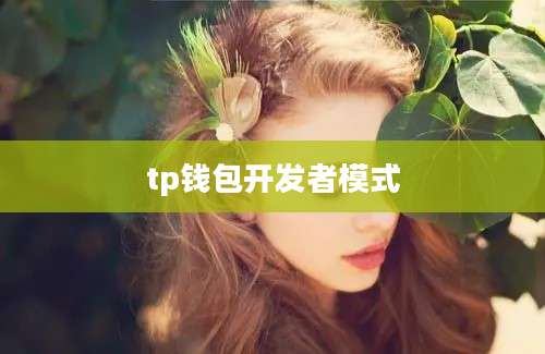 tp钱包开发者模式