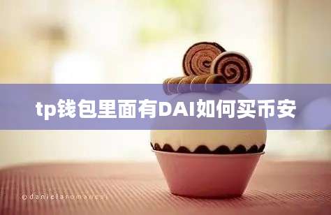 tp钱包里面有DAI如何买币安