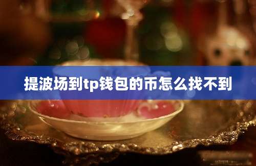 提波场到tp钱包的币怎么找不到