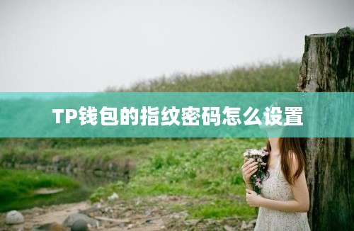 TP钱包的指纹密码怎么设置
