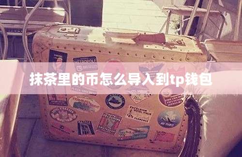 抹茶里的币怎么导入到tp钱包