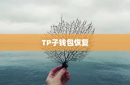 TP子钱包恢复