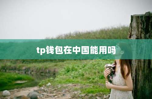 tp钱包在中国能用吗