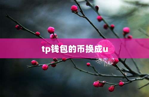 tp钱包的币换成u