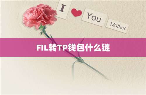 FIL转TP钱包什么链