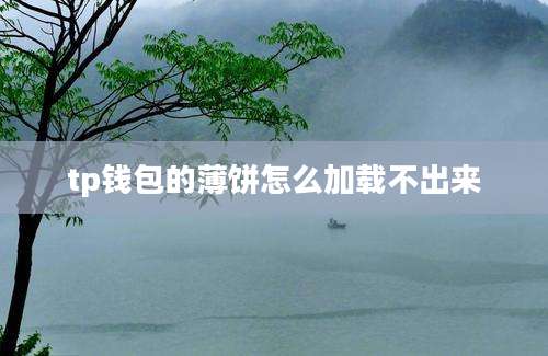 tp钱包的薄饼怎么加载不出来