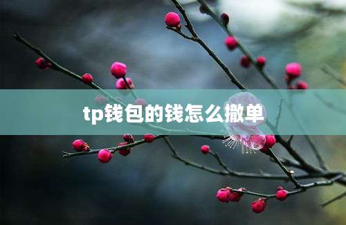 tp钱包的钱怎么撤单