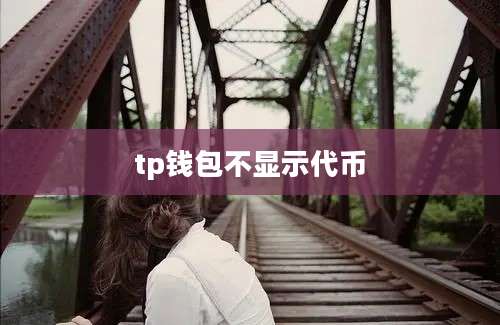tp钱包不显示代币