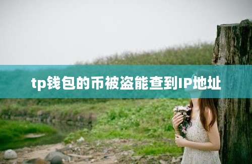 tp钱包的币被盗能查到IP地址