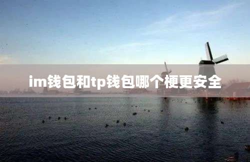 im钱包和tp钱包哪个梗更安全