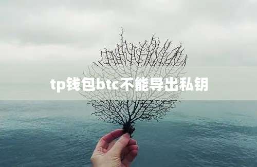 tp钱包btc不能导出私钥