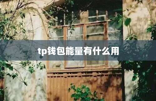 tp钱包能量有什么用