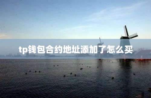 tp钱包合约地址添加了怎么买