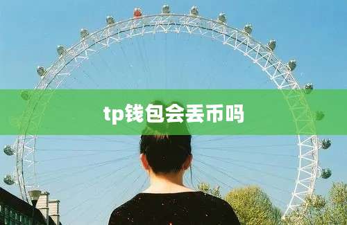 tp钱包会丢币吗