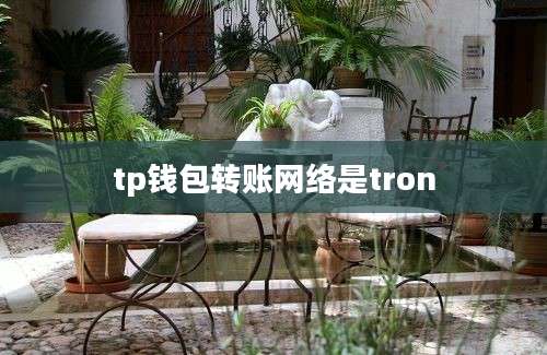 tp钱包转账网络是tron