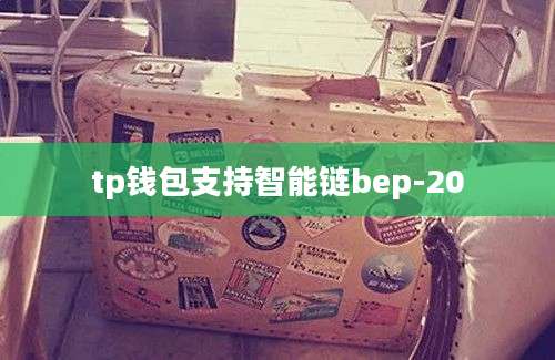 tp钱包支持智能链bep-20