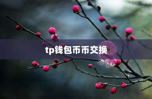 tp钱包币币交换