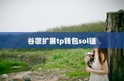 谷歌扩展tp钱包sol链