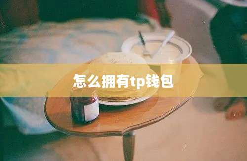 怎么拥有tp钱包