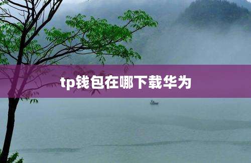 tp钱包在哪下载华为
