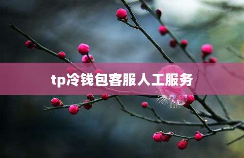 tp冷钱包客服人工服务