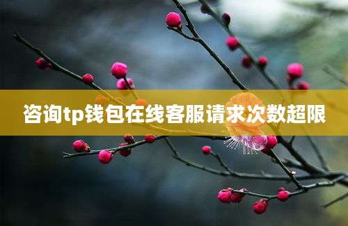 咨询tp钱包在线客服请求次数超限