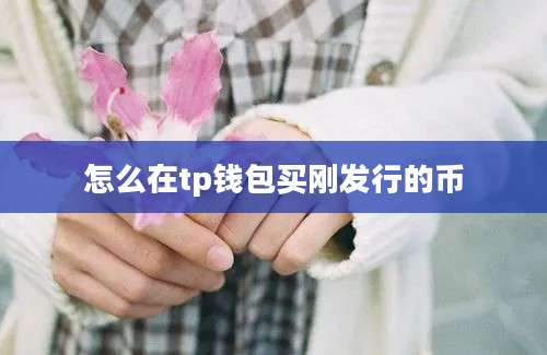 怎么在tp钱包买刚发行的币