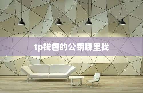 tp钱包的公钥哪里找