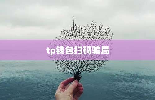tp钱包扫码骗局