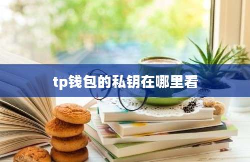 tp钱包的私钥在哪里看