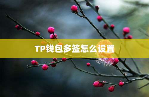 TP钱包多签怎么设置
