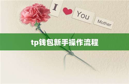 tp钱包新手操作流程