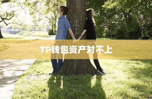 TP钱包资产对不上