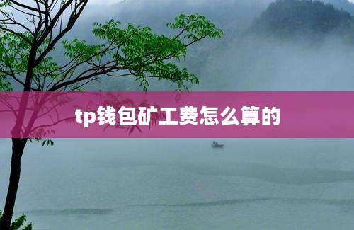 tp钱包矿工费怎么算的