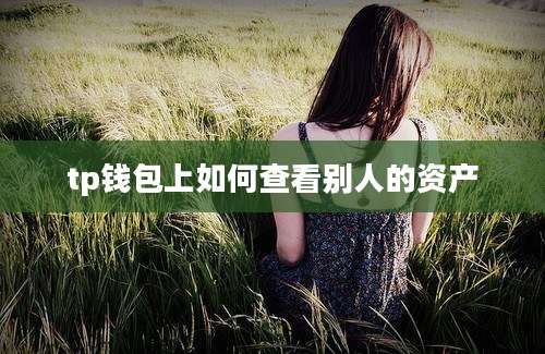tp钱包上如何查看别人的资产