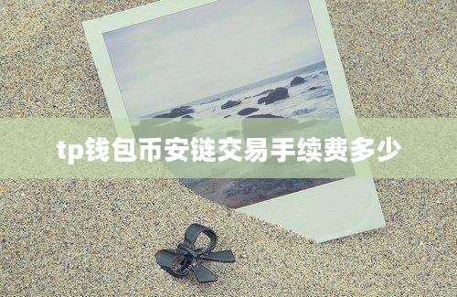 tp钱包币安链交易手续费多少