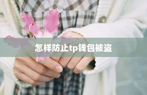怎样防止tp钱包被盗