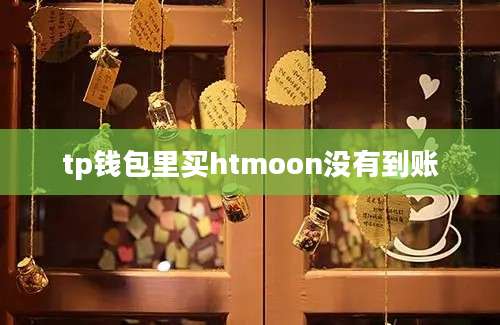tp钱包里买htmoon没有到账
