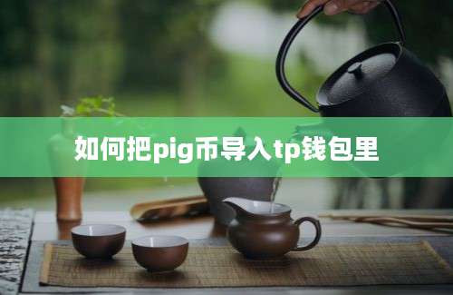 如何把pig币导入tp钱包里