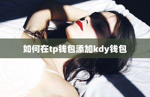 如何在tp钱包添加kdy钱包