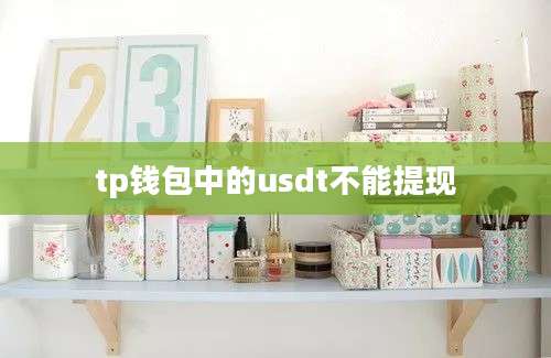 tp钱包中的usdt不能提现