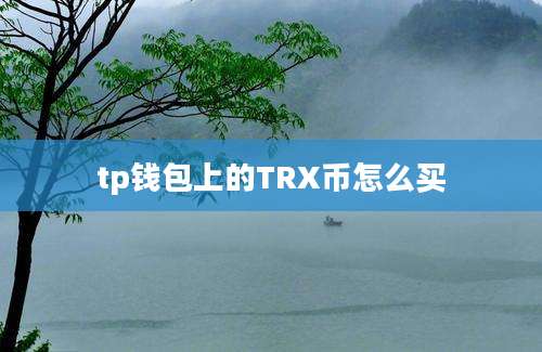 tp钱包上的TRX币怎么买