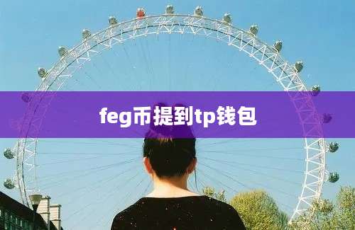 feg币提到tp钱包
